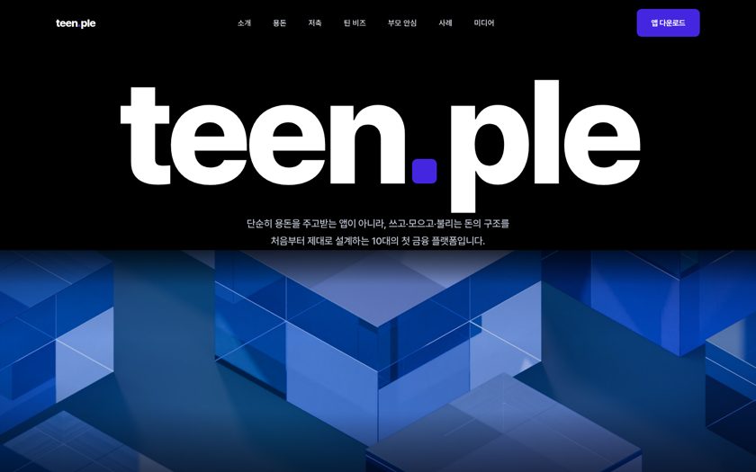 틴플
